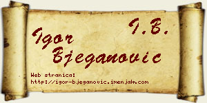 Igor Bjeganović vizit kartica